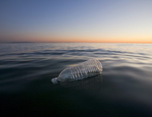 Plastica in mare